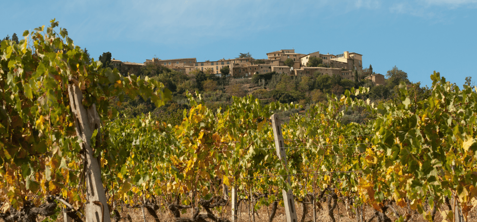 Montalcino Montalcino